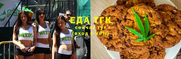дмт Алексин